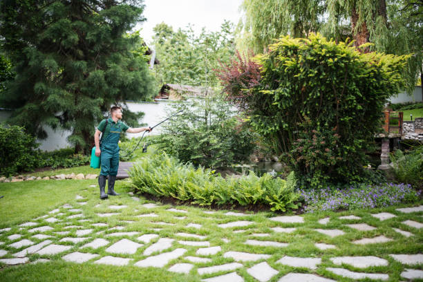  Rockville Centre, NY Tree Services Pros